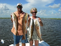 Louisiana Trout and Redfish 