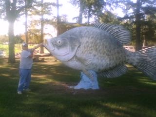 Reelfoot Crappie