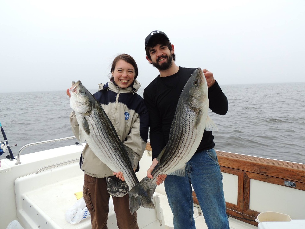 are there salmon in tennessee