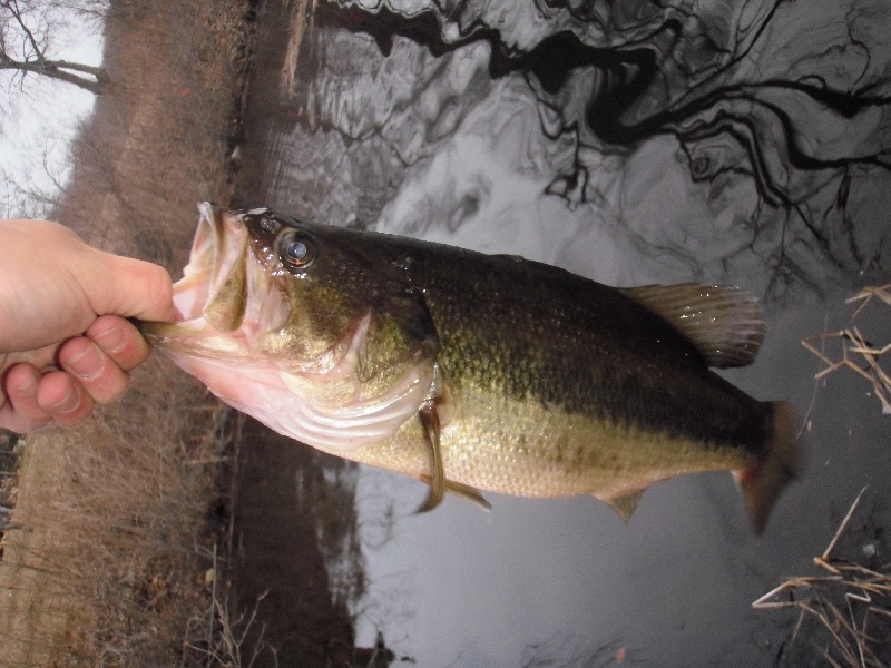 last couple cast