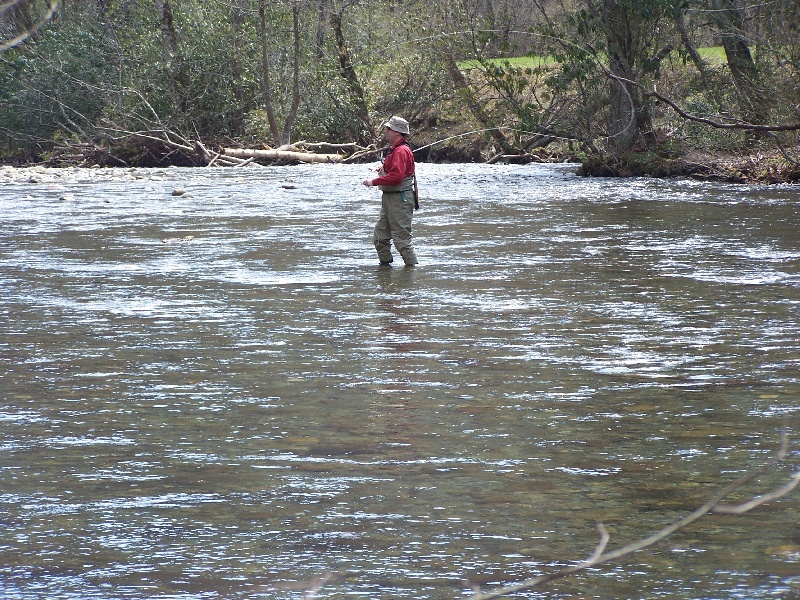 Oconaluftee River, GSMNP near Pittman Center