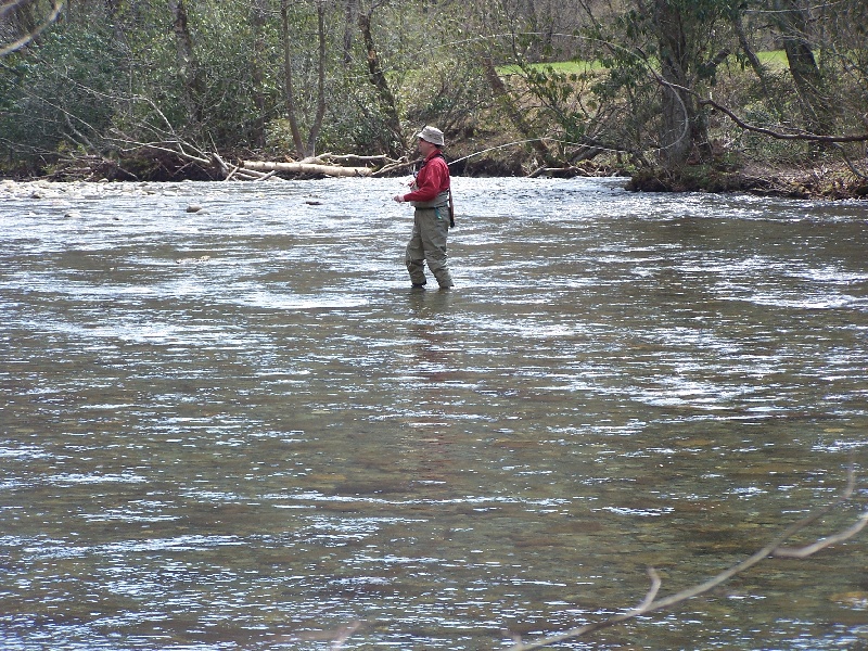 Oconaluftee River, GSMNP near Pigeon Forge