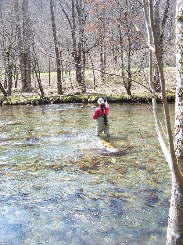 Oconaluftee River, GSMNP near Pittman Center