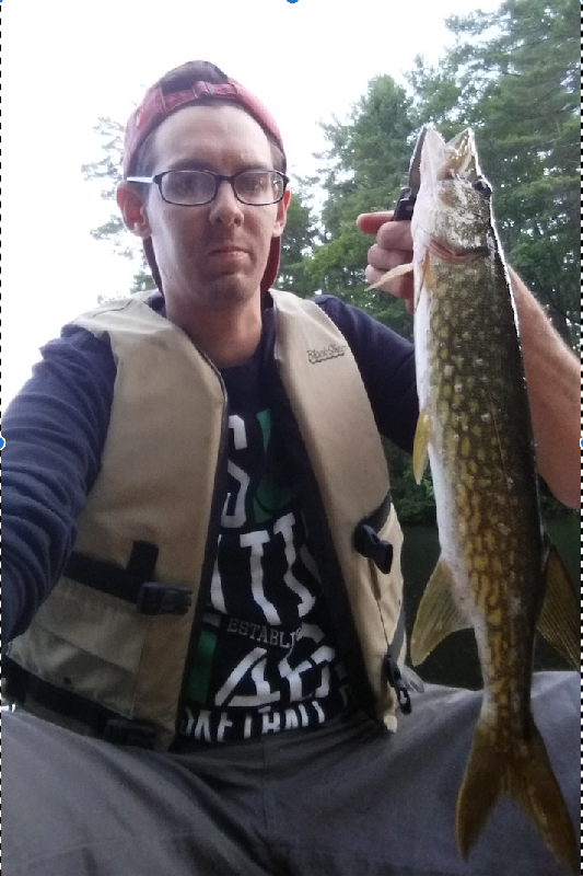 Chain pickerel 