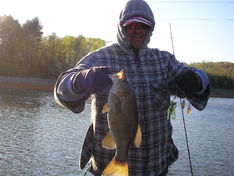 bronzback near Jonesborough