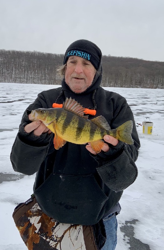 14" Ice Perch