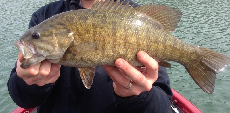 Blaine fishing photo 2