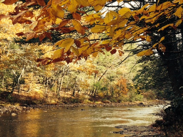 Salmon River