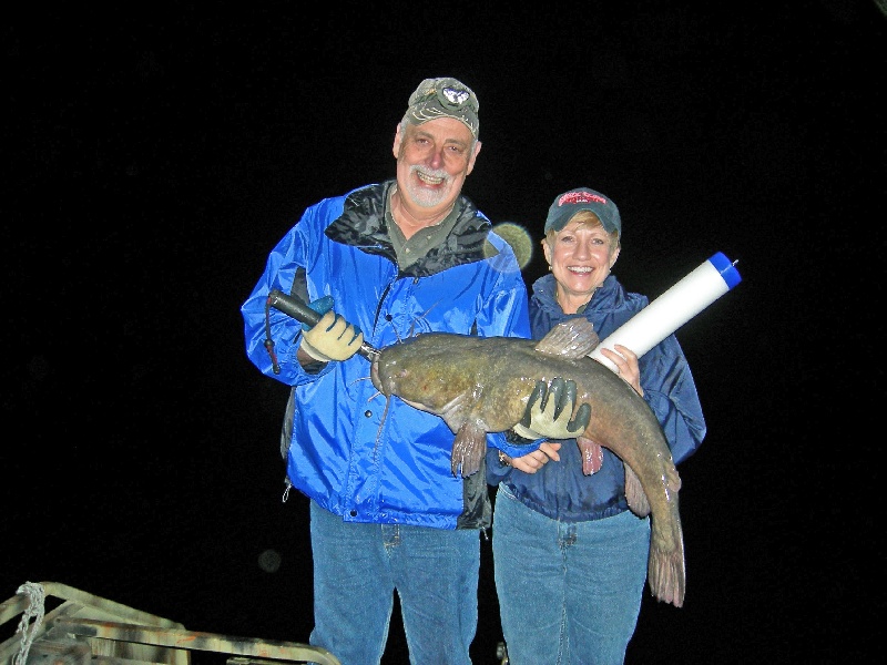 20 Pound Flathead  near Mount Juliet