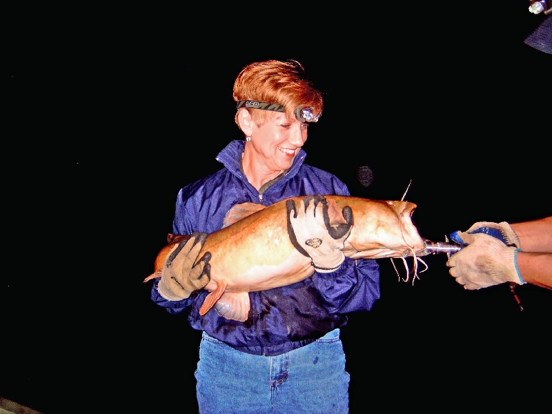 Big Fish of the Night near Mount Juliet