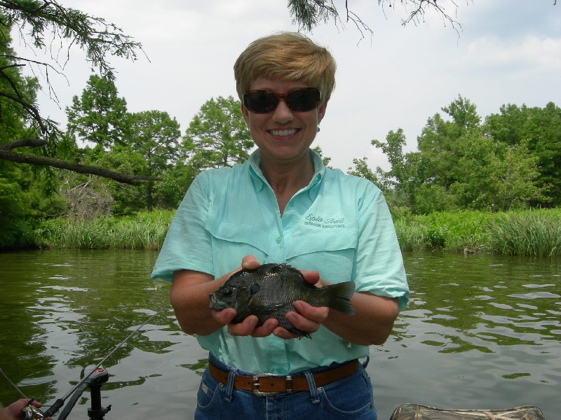 Reelfoot Bluegills near Obion