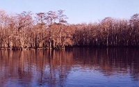 Blood River